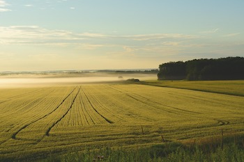 Agricultural Land Appraisals in Hawaii